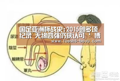  博鱼体育官网